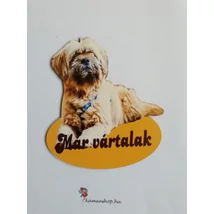 Ajtótábla kutyás bichon havanese