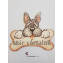 Ajtótábla kutyás csonttal