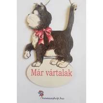 Ajtótábla cica fekete fehér