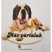 Ajtótábla kutyás bernáthegyi