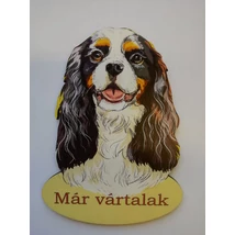 Ajtótábla kutyás spániel