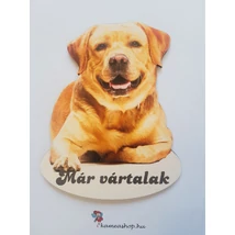 Ajtótábla kutyás labrador