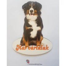 Ajtótábla - kutyás - berni pásztor