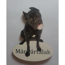 Ajtótábla kutyás cane corso