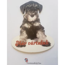 Ajtótábla kutyás schnauzer