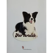 Ajtótábla kutyás border collie