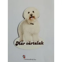 Ajtótábla kutyás bichon frize