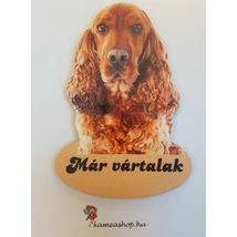 Ajtótábla kutyás cocker spániel 