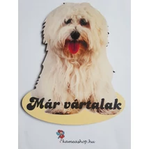 Ajtótábla kutyás máltai 