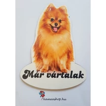 Ajtótábla kutyás spicc