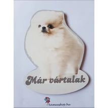 Ajtótábla kutyás fehér spicc