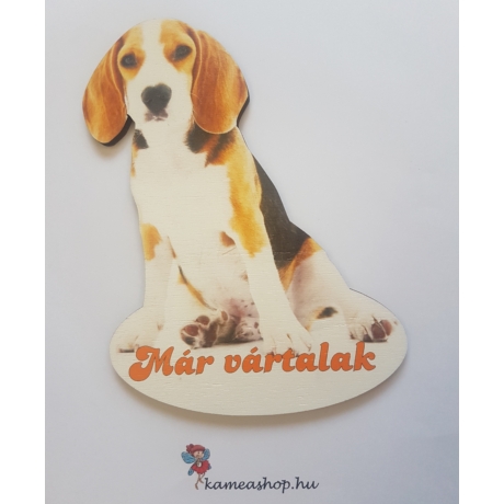 Ajtótábla kutyás beagle 